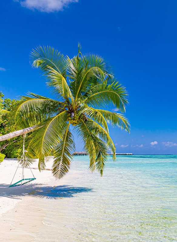 Buy UK 2018 Cruises Offer: Christmas in the Caribbean for £2299.00