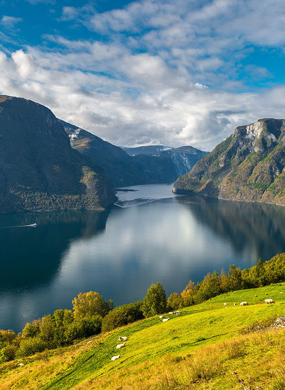 Buy UK 2018 Cruises Offer: Norwegian Fjords