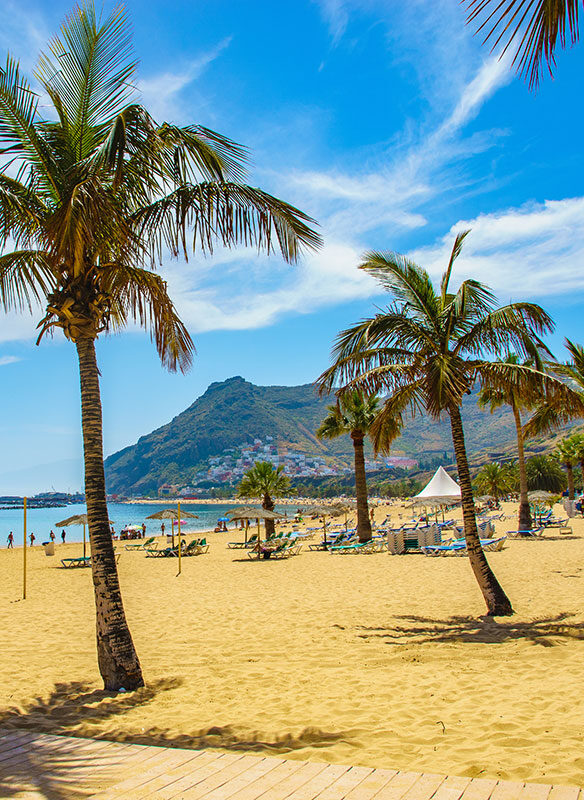 Buy UK 2018 Cruises Offer: Winter Warmth in the Canaries for £1599.00